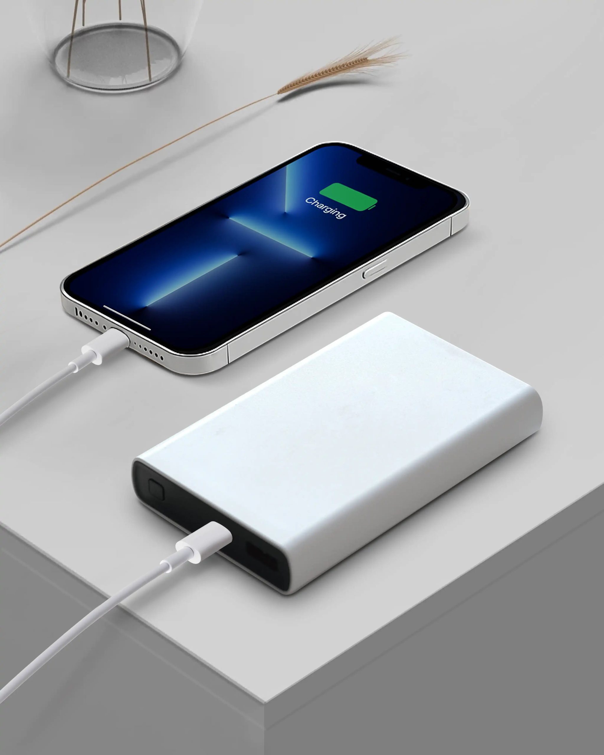 Power_Bank_1.jpg